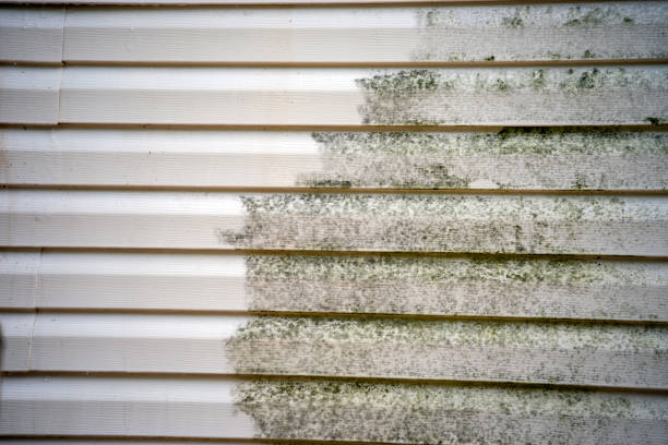 Best Custom Siding Design  in Tarpey Village, CA