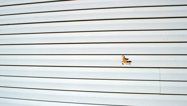 Best Fascia and Soffit Installation  in Tarpey Village, CA